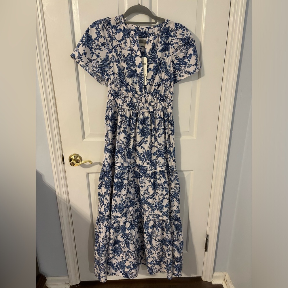 Anthropologie Blue and White Floral Maxi Dress